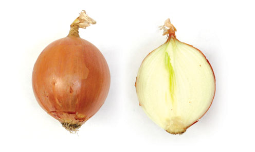beneficios cebolla